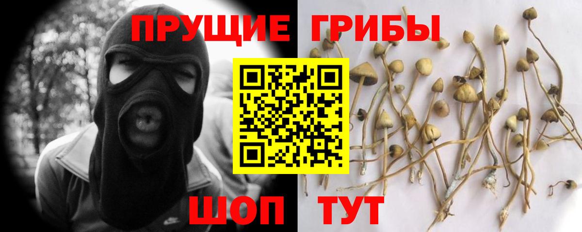 Галлюциногенные грибы ЛСД  Вход с VPN  Ржев 