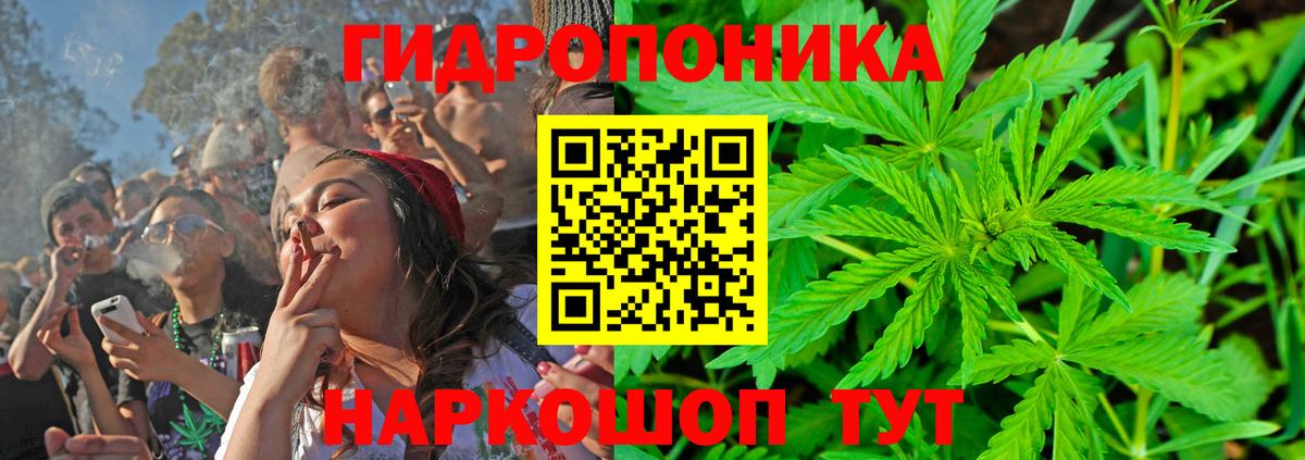 Канабис ГИДРОПОН Ржев